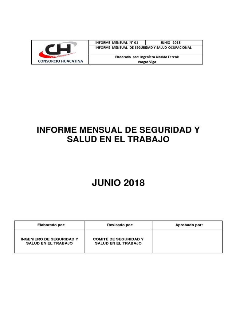 Informe Mensual Junio - Seguridad en Obra | PDF | Calidad | Calidad de vida