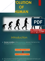 EVOLUTION of Human