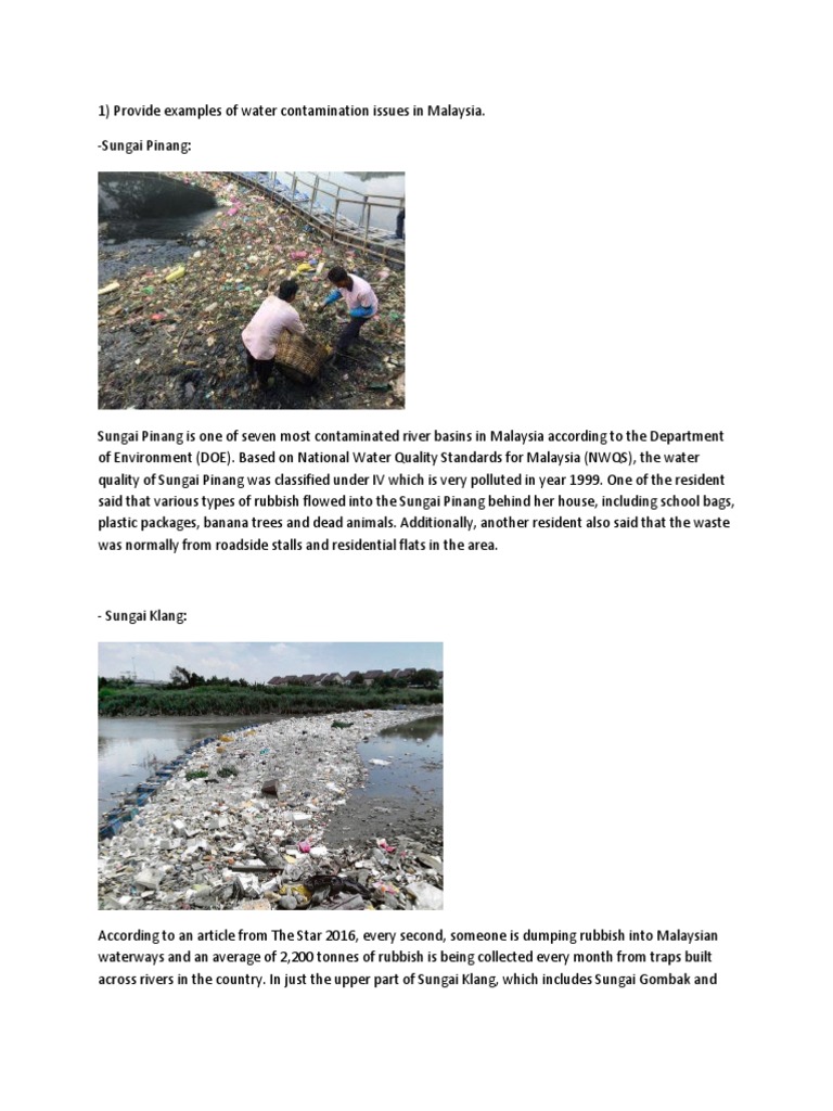 Green Future PDF Water Pollution Malaysia