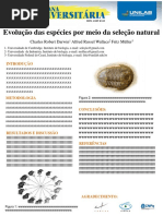 Modelo de Banner - Semana Universitária UNILAB