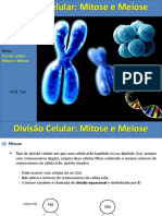 Divisão celular: Mitose e Meiose em