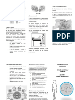 Triptico Sobre Ppanicolaou