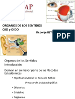 Embriologia06 Sentidos2_Clase2017.pptx
