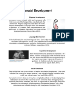 prenatal development factsheet