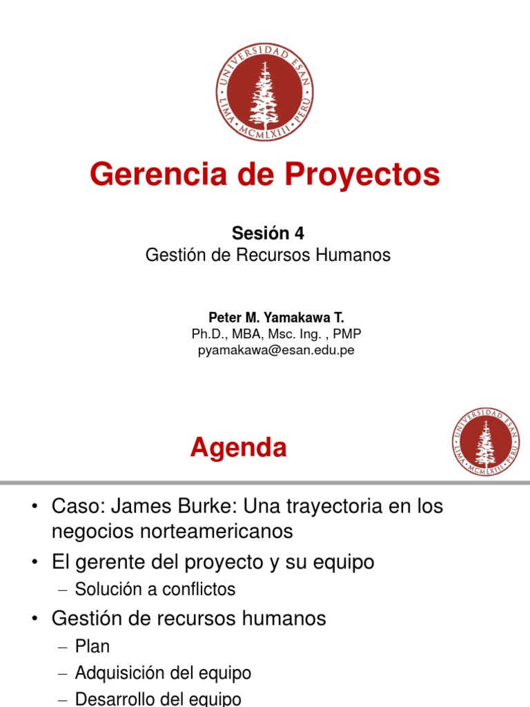 Gestión de Recursos Humanos en Proyectos | PDF | Gestión de recursos ...