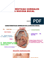 Lesiones Blancas