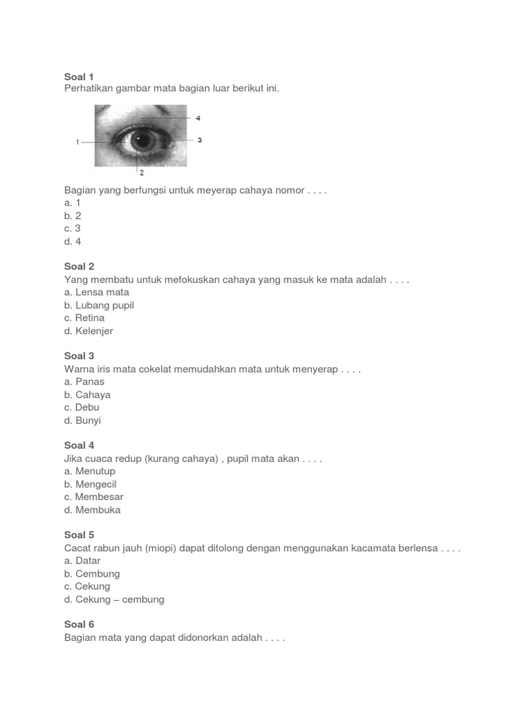 Soal TTG Mata | PDF