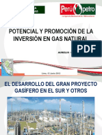 Potencial y Promoción de La Inversión en Gas Natural - Perupetro