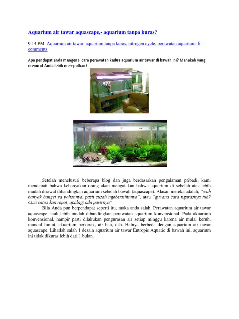 82 Design Aquarium Tanpa Kuras Gratis Terbaik