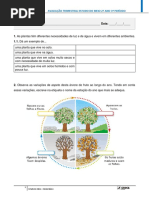 2º ano - Estudo do Meio - 3º Período