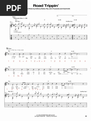 Red Hot Chili Peppers Road Trippin Partition