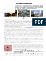 FENOMENE-TERMICE.pdf