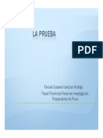 2076_2_la_prueba.pdf