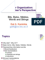 Computer Organization: A Programmer's Perspective: Bits, Bytes, Nibbles, Words and Strings
