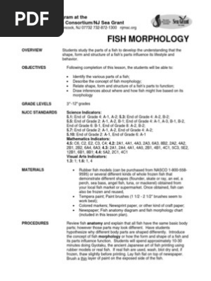 Fish Morphology