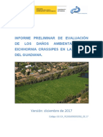 Informe Preliminar Evaluacion Danios Ambientales Camalote
