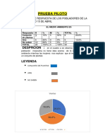 Prueba Piloto