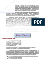 fisiopatolog resumen.docx