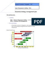 Integrated Systems Strategic Management Auditing