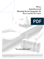 tgp jurisdiccion.pdf