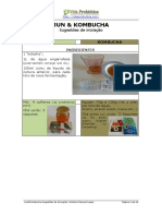 JunKombucha Sugestões de Iniciação V5