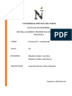 T2 Informe Prácticas Pre Profesionales - Goicochea Briones Pedro