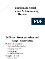 Bacterial - Classification 1 PDF