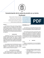 Informe- Lecho Fluidizado