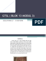 GTSL (Blok 13 Modul 3)