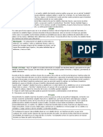 Cómo Descansan Los Caballos PDF