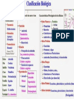 Clasificación de Bacterias