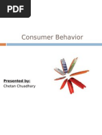 Ekb Model | PDF | Consumer Behaviour | Behavior