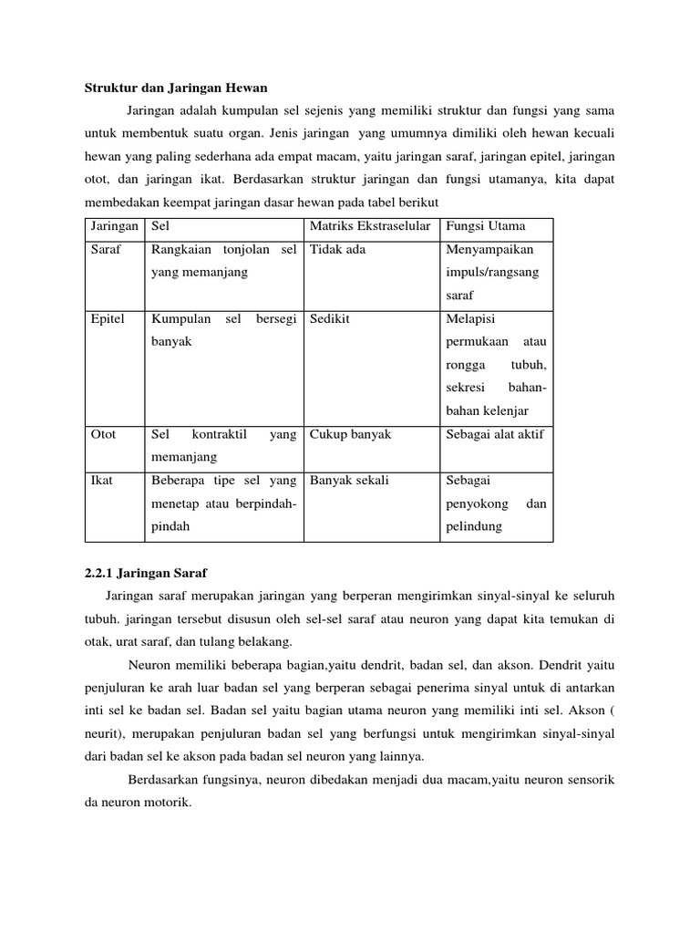 Struktur Dan Jaringan  Hewan 
