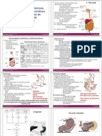 01 Vias de Adminsitracion