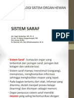 Sistem Saraf-2018