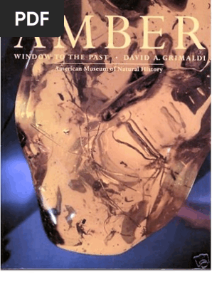 Amber Window To The Past Amber Resin