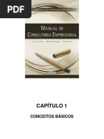 Cap 1 - Consultoria - Djalma