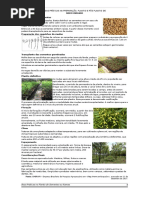 Boas Práticas Na Preparação, Plantio e Pós Plantio de Neem Indiano v.2