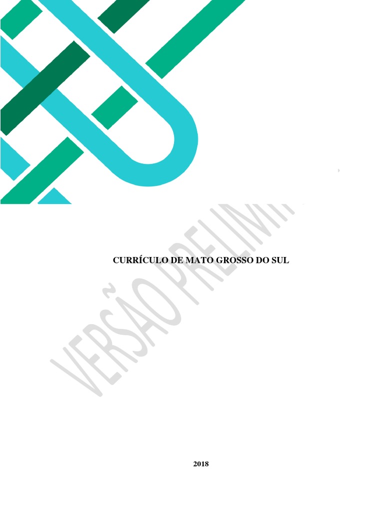Versao Preliminar Curriculo Ms 12 07 Pdf Educacao Especial Paraguai
