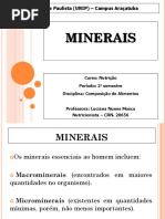 AULA Macrominerais e Microminerais.ppt