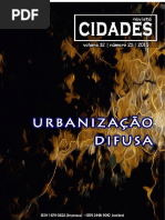 Cidades e Centralidades Na Amazônia - Dos Diferentes Ordenamentos Territoriais Ao Processo de Urbanização Difusa