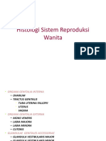 Histologi Sistem Reproduksi