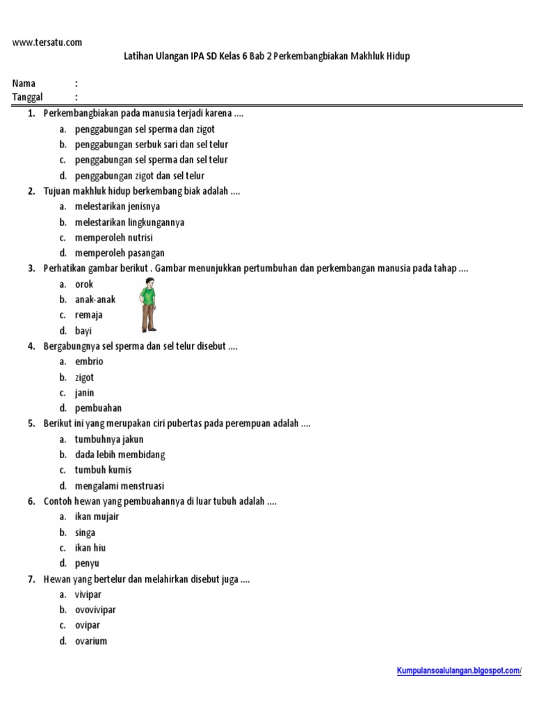 Soal Ulangan Harian Ipa Kelas 6 Bab 2 Perkembangbiakan Makhluk Hidup