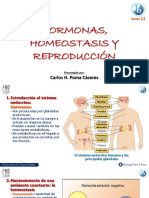 Fisiología Humana