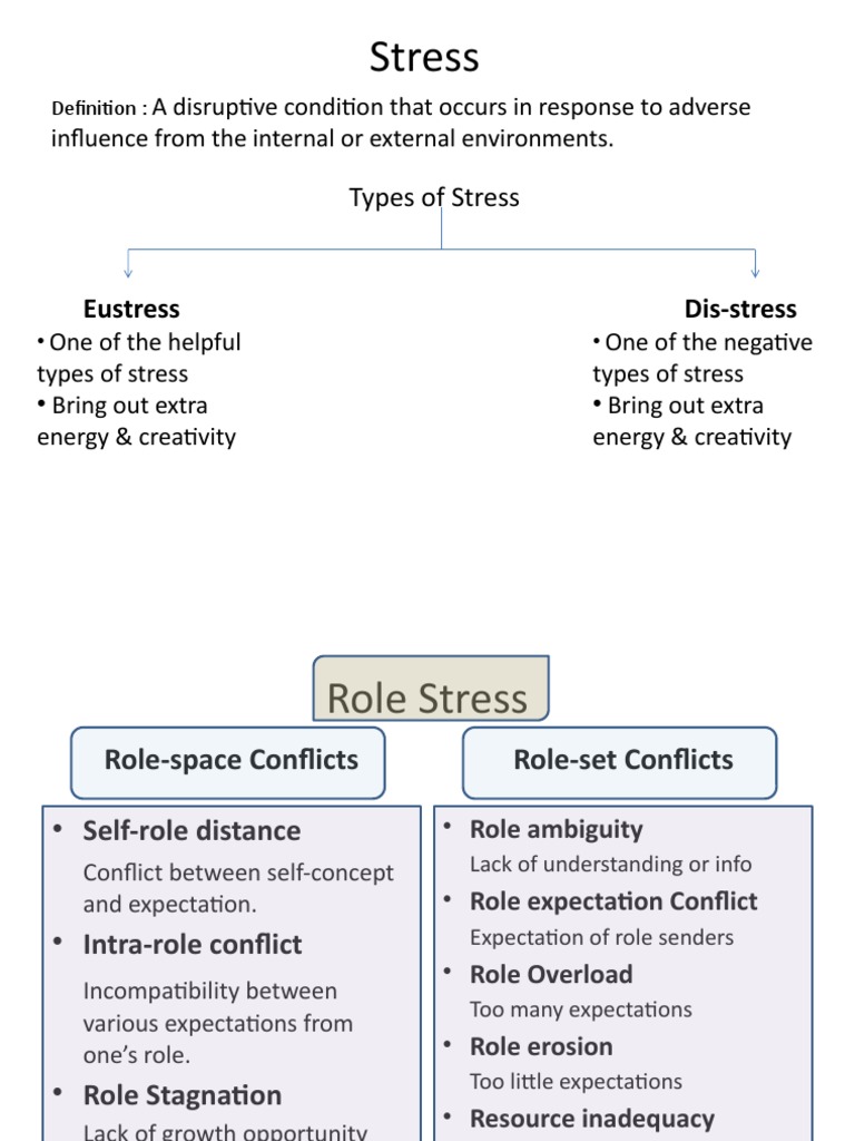 Stress | PDF
