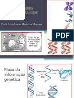 Aula 2 Revisao_biotec (1).pdf