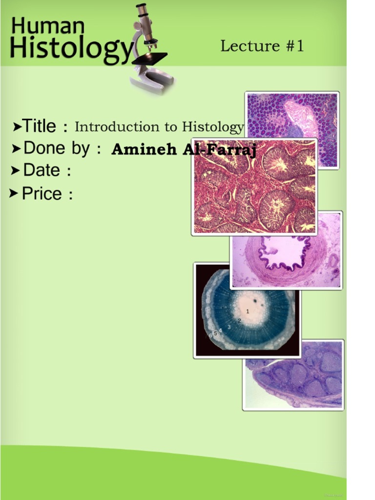 Histology, Lecture 1, Introduction to Histology (Lecture Notes)