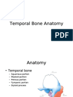 Temporal Bone Anatomy