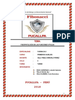 FISIOPATOLOGIA.docx