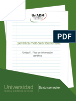 Flujo de Información Genética